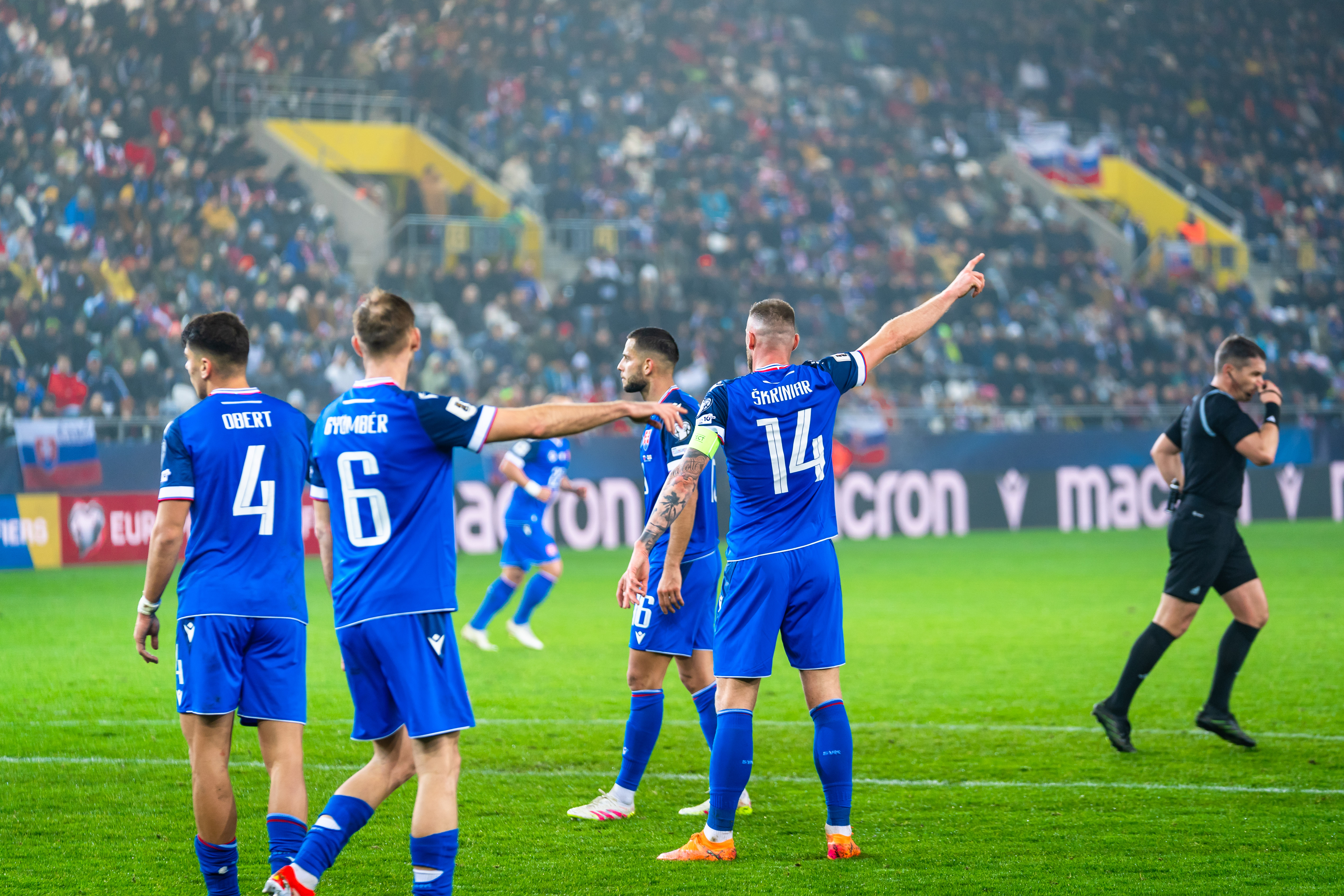 Slovensko vs Severne Irsko-49